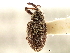  ( - CNC COLEO 00119282)  @11 [ ] CreativeCommons - Attribution (2011) CNC/CBG Photography Group Centre for Biodiversity Genomics