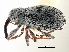  ( - CNC COLEO 00119292)  @11 [ ] CreativeCommons - Attribution (2011) CNC/CBG Photography Group Centre for Biodiversity Genomics