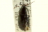  ( - CNC COLEO 00119348)  @11 [ ] CreativeCommons - Attribution (2011) CNC/CBG Photography Group Centre for Biodiversity Genomics