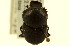  ( - CNC COLEO 00119940)  @12 [ ] CreativeCommons - Attribution (2011) CNC/CBG Photography Group Centre for Biodiversity Genomics