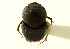  ( - CNC COLEO 00119967)  @11 [ ] CreativeCommons - Attribution (2011) CNC/CBG Photography Group Centre for Biodiversity Genomics