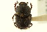  ( - CNC COLEO 00119968)  @11 [ ] CreativeCommons - Attribution (2011) CNC/CBG Photography Group Centre for Biodiversity Genomics