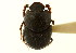  ( - CNC COLEO 00119969)  @11 [ ] CreativeCommons - Attribution (2011) CNC/CBG Photography Group Centre for Biodiversity Genomics