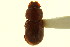  ( - CNC COLEO 00120010)  @12 [ ] CreativeCommons - Attribution (2011) CNC/CBG Photography Group Centre for Biodiversity Genomics