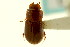  ( - CNC COLEO 00120012)  @13 [ ] CreativeCommons - Attribution (2011) CNC/CBG Photography Group Centre for Biodiversity Genomics