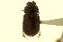  ( - CNC COLEO 00120087)  @12 [ ] CreativeCommons - Attribution (2011) CNC/CBG Photography Group Centre for Biodiversity Genomics