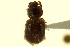  ( - CNC COLEO 00120088)  @12 [ ] CreativeCommons - Attribution (2011) CNC/CBG Photography Group Centre for Biodiversity Genomics