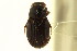  ( - CNC COLEO 00123591)  @11 [ ] CreativeCommons - Attribution (2011) CNC/CBG Photography Group Centre for Biodiversity Genomics