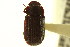  ( - CNCI 00023075)  @12 [ ] CreativeCommons - Attribution (2011) CNC/CBG Photography Group Centre for Biodiversity Genomics