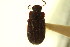  ( - CNCI 00023077)  @12 [ ] CreativeCommons - Attribution (2011) CNC/CBG Photography Group Centre for Biodiversity Genomics