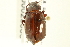  ( - CNCI 00023386)  @13 [ ] CreativeCommons - Attribution (2011) CNC/CBG Photography Group Centre for Biodiversity Genomics