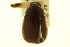 ( - CNC COLEO 00124008)  @12 [ ] CreativeCommons - Attribution (2011) CNC/CBG Photography Group Centre for Biodiversity Genomics