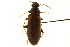  ( - CNC COLEO 00124938)  @11 [ ] CreativeCommons - Attribution (2011) CNC/CBG Photography Group Centre for Biodiversity Genomics