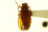  ( - CNC COLEO 00124969)  @11 [ ] CreativeCommons - Attribution (2011) CNC/CBG Photography Group Centre for Biodiversity Genomics