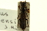  ( - CNC COLEO 00125045)  @11 [ ] CreativeCommons - Attribution (2011) CNC/CBG Photography Group Centre for Biodiversity Genomics