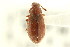  ( - CNCI 00022509)  @11 [ ] CreativeCommons - Attribution (2011) CNC/CBG Photography Group Centre for Biodiversity Genomics