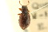  ( - CNCI 00022563)  @12 [ ] CreativeCommons - Attribution (2011) CNC/CBG Photography Group Centre for Biodiversity Genomics