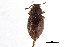  ( - CNCI 00022564)  @11 [ ] CreativeCommons - Attribution (2011) CNC/CBG Photography Group Centre for Biodiversity Genomics