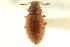  ( - CNCI 00022594)  @11 [ ] CreativeCommons - Attribution (2011) CNC/CBG Photography Group Centre for Biodiversity Genomics