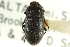  ( - CNCI 00024320)  @11 [ ] CreativeCommons - Attribution (2011) CNC/CBG Photography Group Centre for Biodiversity Genomics