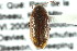  ( - CNCI 00025834)  @14 [ ] CreativeCommons - Attribution (2011) CNC/CBG Photography Group Centre for Biodiversity Genomics