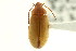  ( - CNCI 00028339)  @13 [ ] CreativeCommons - Attribution (2011) CNC/CBG Photography Group Centre for Biodiversity Genomics