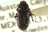  ( - CNC COLEO 00126928)  @11 [ ] CreativeCommons - Attribution (2011) CNC/CBG Photography Group Centre for Biodiversity Genomics