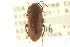  ( - CNC COLEO 00127149)  @11 [ ] CreativeCommons - Attribution (2011) CNC/CBG Photography Group Centre for Biodiversity Genomics