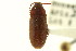  ( - CNC COLEO 00127150)  @11 [ ] CreativeCommons - Attribution (2011) CNC/CBG Photography Group Centre for Biodiversity Genomics