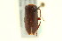  ( - CNC COLEO 00127162)  @11 [ ] CreativeCommons - Attribution (2011) CNC/CBG Photography Group Centre for Biodiversity Genomics