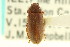  ( - CNC COLEO 00127284)  @13 [ ] CreativeCommons - Attribution (2011) CNC/CBG Photography Group Centre for Biodiversity Genomics