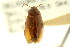  ( - CNC COLEO 00127287)  @11 [ ] CreativeCommons - Attribution (2011) CNC/CBG Photography Group Centre for Biodiversity Genomics