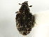  ( - CNC COLEO 00127313)  @11 [ ] CreativeCommons - Attribution (2011) CNC/CBG Photography Group Centre for Biodiversity Genomics