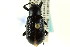  ( - CNC COLEO 00127634)  @11 [ ] CreativeCommons - Attribution (2011) CNC/CBG Photography Group Centre for Biodiversity Genomics