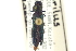  ( - CNC COLEO 00106665)  @11 [ ] CreativeCommons - Attribution (2012) CNC/CBG Photography Group Centre for Biodiversity Genomics