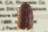  ( - CNC COLEO 00137682)  @11 [ ] CreativeCommons - Attribution (2012) CNC/CBG Photography Group Centre for Biodiversity Genomics