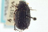  ( - CNC COLEO 00137805)  @11 [ ] CreativeCommons - Attribution (2012) CNC/CBG Photography Group Centre for Biodiversity Genomics