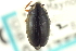  ( - CNC COLEO 00149332)  @11 [ ] CreativeCommons - Attribution (2012) CNC/CBG Photography Group Centre for Biodiversity Genomics