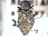  ( - CNC COLEO 00150553)  @11 [ ] CreativeCommons - Attribution (2012) CNC/CBG Photography Group Centre for Biodiversity Genomics