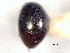  ( - CNC COLEO 00150607)  @11 [ ] CreativeCommons - Attribution (2012) CNC/CBG Photography Group Centre for Biodiversity Genomics