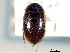 ( - CNC COLEO 00150667)  @11 [ ] CreativeCommons - Attribution (2012) CNC/CBG Photography Group Centre for Biodiversity Genomics
