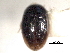  ( - CNC COLEO 00150892)  @11 [ ] CreativeCommons - Attribution (2012) CNC/CBG Photography Group Centre for Biodiversity Genomics