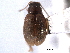  ( - CNC COLEO 00151602)  @11 [ ] CreativeCommons - Attribution (2012) CNC/CBG Photography Group Centre for Biodiversity Genomics