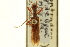  ( - CNC COLEO 00154752)  @11 [ ] CreativeCommons - Attribution (2012) CNC/CBG Photography Group Centre for Biodiversity Genomics