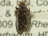  ( - CNC COLEO 00151656)  @13 [ ] CreativeCommons - Attribution (2012) CNC/CBG Photography Group Centre for Biodiversity Genomics