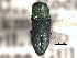  ( - CNC COLEO 00156764)  @11 [ ] CreativeCommons - Attribution (2012) CNC/CBG Photography Group Centre for Biodiversity Genomics