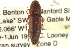  ( - CNC COLEO 00158233)  @13 [ ] CreativeCommons - Attribution (2012) CNC/CBG Photography Group Centre for Biodiversity Genomics