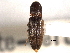  ( - CNC COLEO 00158241)  @11 [ ] CreativeCommons - Attribution (2012) CNC/CBG Photography Group Centre for Biodiversity Genomics