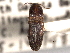  ( - CNC COLEO 00158270)  @11 [ ] CreativeCommons - Attribution (2012) CNC/CBG Photography Group Centre for Biodiversity Genomics