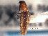  ( - CNC COLEO 00158278)  @11 [ ] CreativeCommons - Attribution (2012) CNC/CBG Photography Group Centre for Biodiversity Genomics